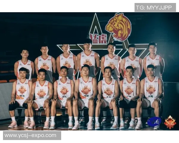 广东与浙江篮球对决数据深度分析及战术解析